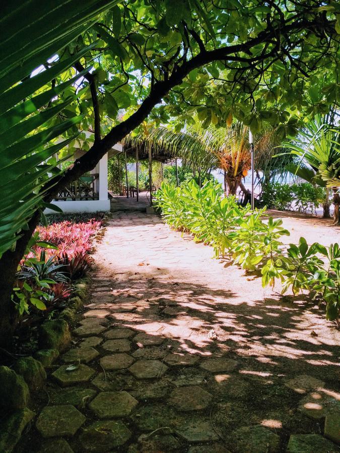 Panga Chumvi Beach Resort Matemwe  Exteriör bild